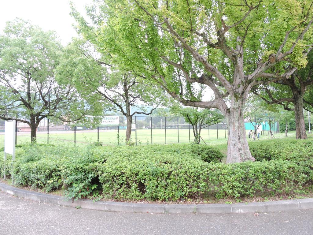 Ninja Affittacamere Kyōto